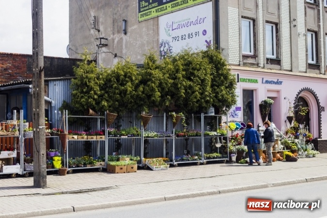 Zdjęcie w galerii na portalu naszraciborz.pl: Zrób sobie wyjątkową wiosnę w sercu, na podwórku i w domu! wiadomości z regionu