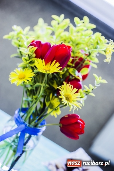 Zdjęcie w galerii na portalu naszraciborz.pl: Konkurs i śniadanie ekologiczne w II LO wiadomości z regionu