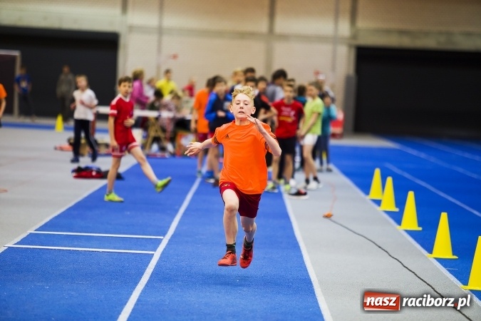 Zdjęcie w galerii na portalu naszraciborz.pl: Halowe mistrzostwa Raciborza i powiatu raciborskiego w lekkiej atletyce wiadomości z regionu
