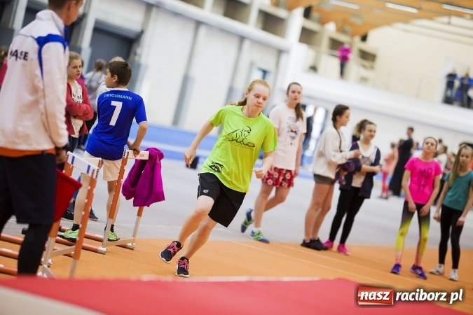Zdjęcie w galerii na portalu naszraciborz.pl: Halowe mistrzostwa Raciborza i powiatu raciborskiego w lekkiej atletyce wiadomości z regionu