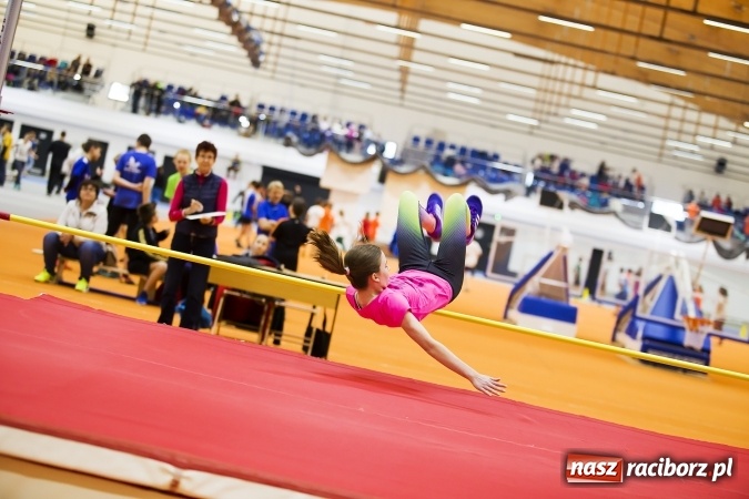 Zdjęcie w galerii na portalu naszraciborz.pl: Halowe mistrzostwa Raciborza i powiatu raciborskiego w lekkiej atletyce wiadomości z regionu
