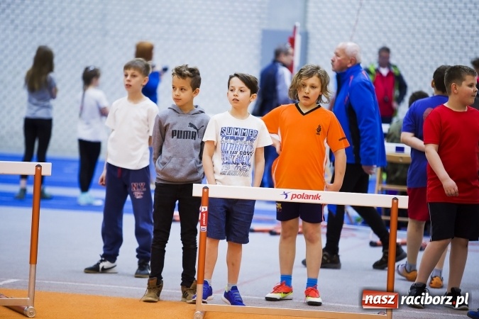 Zdjęcie w galerii na portalu naszraciborz.pl: Halowe mistrzostwa Raciborza i powiatu raciborskiego w lekkiej atletyce wiadomości z regionu