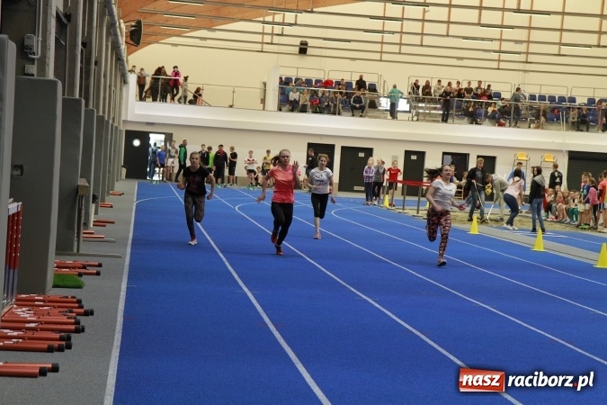Zdjęcie w galerii na portalu naszraciborz.pl: Halowe mistrzostwa Raciborza i powiatu raciborskiego w lekkiej atletyce wiadomości z regionu