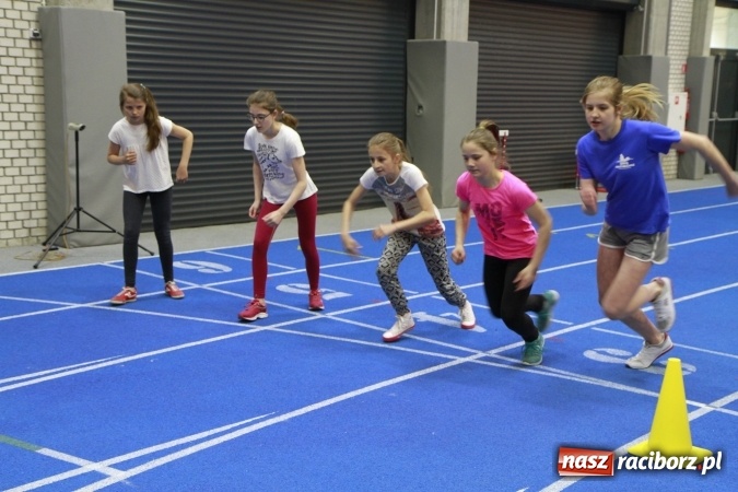 Zdjęcie w galerii na portalu naszraciborz.pl: Halowe mistrzostwa Raciborza i powiatu raciborskiego w lekkiej atletyce wiadomości z regionu
