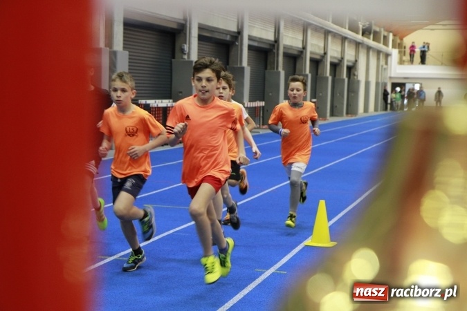 Zdjęcie w galerii na portalu naszraciborz.pl: Halowe mistrzostwa Raciborza i powiatu raciborskiego w lekkiej atletyce wiadomości z regionu