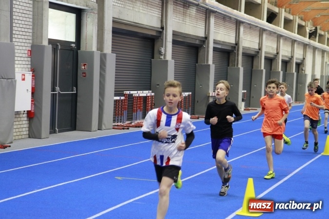 Zdjęcie w galerii na portalu naszraciborz.pl: Halowe mistrzostwa Raciborza i powiatu raciborskiego w lekkiej atletyce wiadomości z regionu