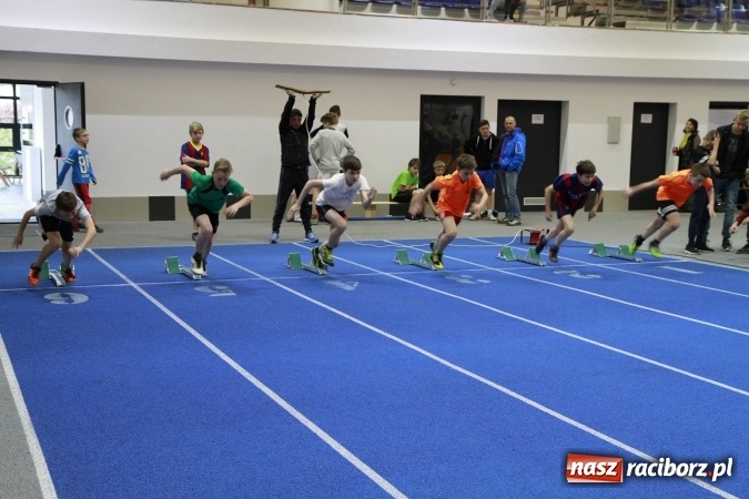 Zdjęcie w galerii na portalu naszraciborz.pl: Halowe mistrzostwa Raciborza i powiatu raciborskiego w lekkiej atletyce wiadomości z regionu