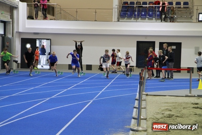 Zdjęcie w galerii na portalu naszraciborz.pl: Halowe mistrzostwa Raciborza i powiatu raciborskiego w lekkiej atletyce wiadomości z regionu