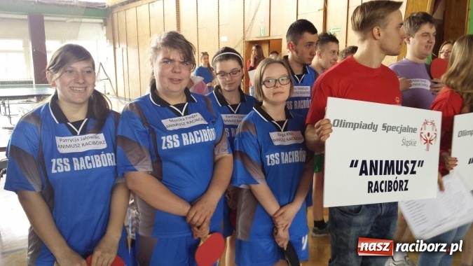 Zdjęcie w galerii na portalu naszraciborz.pl: Tenis stołowy: Sukces Animusza w Rudzie Śląskiej wiadomości z regionu