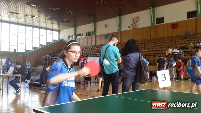 Zdjęcie w galerii na portalu naszraciborz.pl: Tenis stołowy: Sukces Animusza w Rudzie Śląskiej wiadomości z regionu