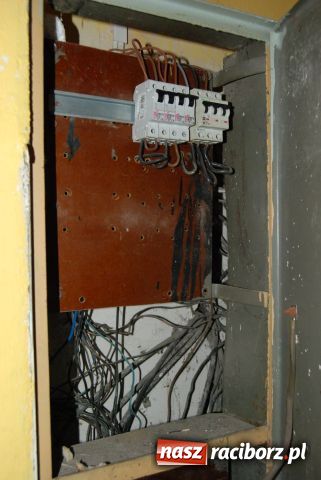 Zdjęcie w galerii na portalu naszraciborz.pl: Kumunikat Straży Granicznej z Raciborza wiadomości z regionu