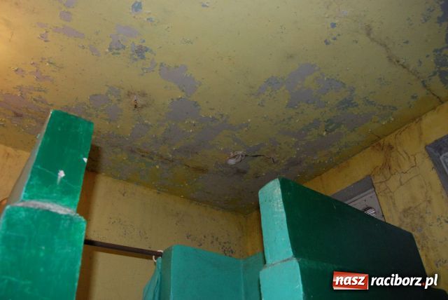 Zdjęcie w galerii na portalu naszraciborz.pl: Kumunikat Straży Granicznej z Raciborza wiadomości z regionu