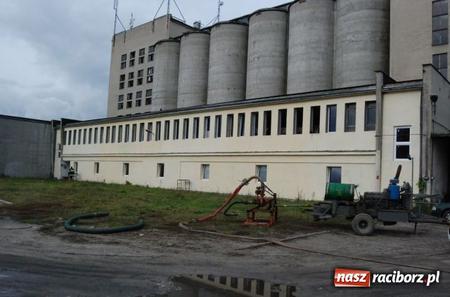 Zdjęcie w galerii na portalu naszraciborz.pl: Kumunikat Straży Granicznej z Raciborza wiadomości z regionu