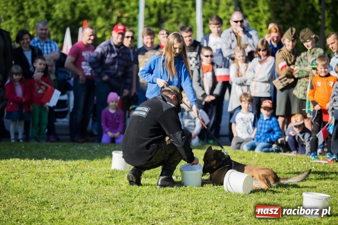 Zdjęcie w galerii na portalu naszraciborz.pl: Piknik dla miłośników militariów i historii w Strzesze wiadomości z regionu