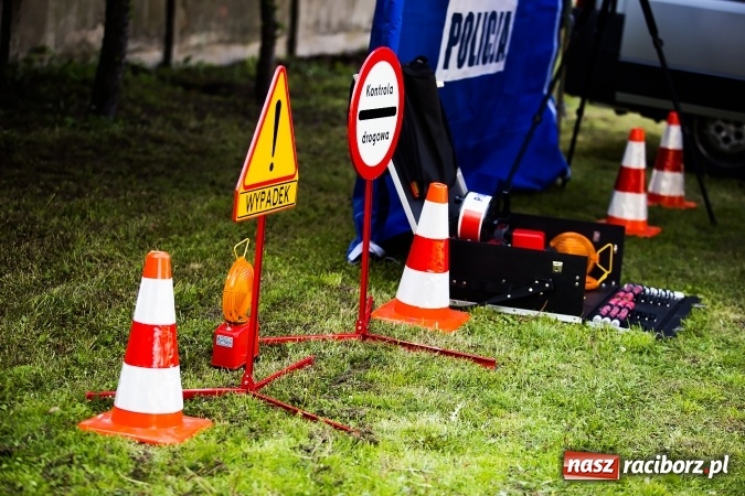 Zdjęcie w galerii na portalu naszraciborz.pl: Piknik dla miłośników militariów i historii w Strzesze wiadomości z regionu
