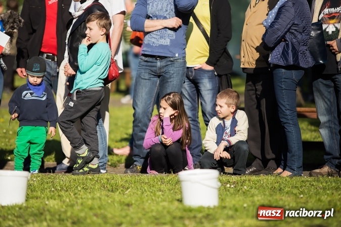 Zdjęcie w galerii na portalu naszraciborz.pl: Piknik dla miłośników militariów i historii w Strzesze wiadomości z regionu