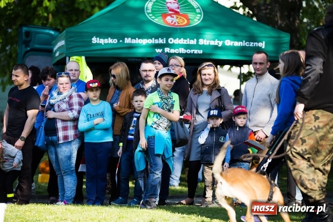 Zdjęcie w galerii na portalu naszraciborz.pl: Piknik dla miłośników militariów i historii w Strzesze wiadomości z regionu