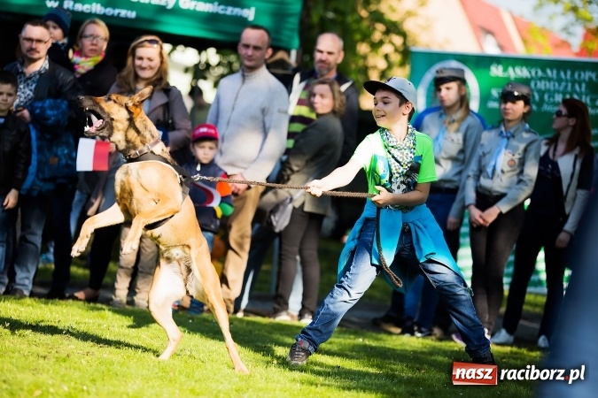 Zdjęcie w galerii na portalu naszraciborz.pl: Piknik dla miłośników militariów i historii w Strzesze wiadomości z regionu