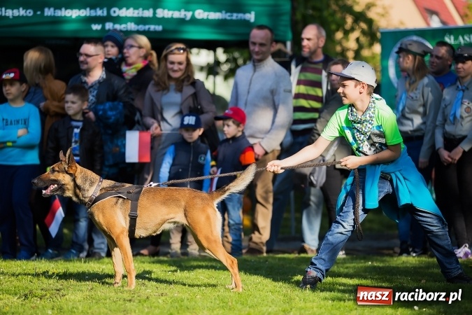 Zdjęcie w galerii na portalu naszraciborz.pl: Piknik dla miłośników militariów i historii w Strzesze wiadomości z regionu