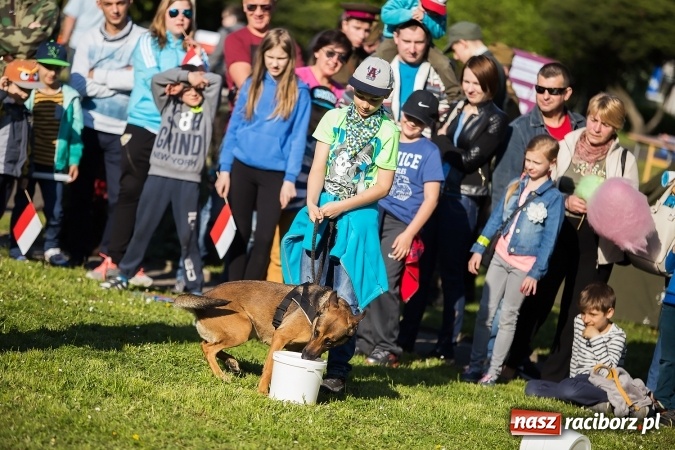Zdjęcie w galerii na portalu naszraciborz.pl: Piknik dla miłośników militariów i historii w Strzesze wiadomości z regionu