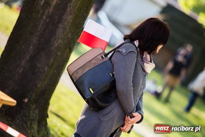 Zdjęcie w galerii na portalu naszraciborz.pl: Piknik dla miłośników militariów i historii w Strzesze wiadomości z regionu