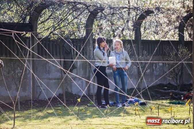 Zdjęcie w galerii na portalu naszraciborz.pl: Piknik dla miłośników militariów i historii w Strzesze wiadomości z regionu