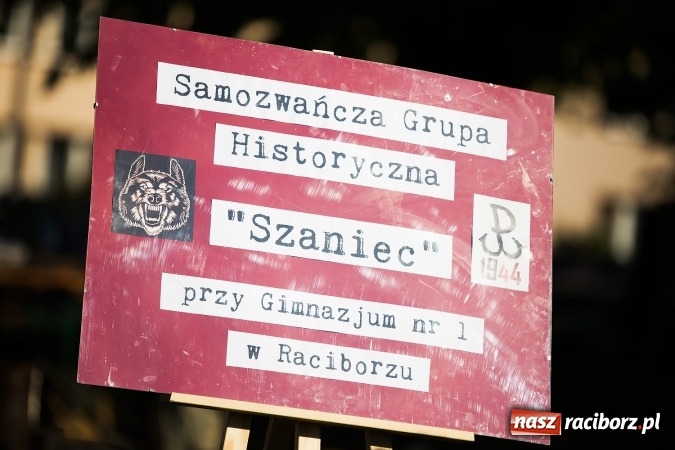 Zdjęcie w galerii na portalu naszraciborz.pl: Piknik dla miłośników militariów i historii w Strzesze wiadomości z regionu
