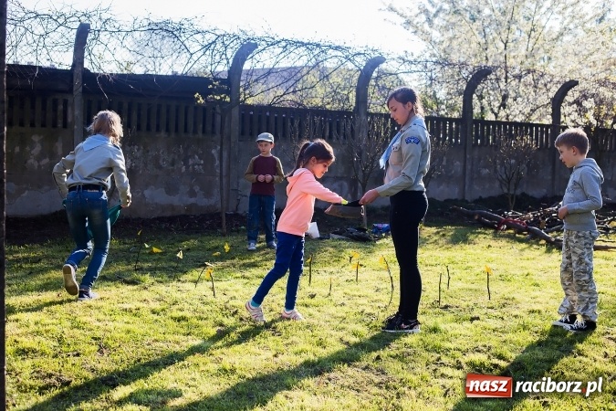 Zdjęcie w galerii na portalu naszraciborz.pl: Piknik dla miłośników militariów i historii w Strzesze wiadomości z regionu