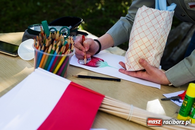 Zdjęcie w galerii na portalu naszraciborz.pl: Piknik dla miłośników militariów i historii w Strzesze wiadomości z regionu