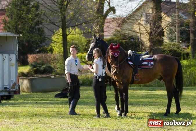 Zdjęcie w galerii na portalu naszraciborz.pl: Siodła, wozy i bryczki, czyli ostra rywalizacja na kornickiej maj&oacute;wce wiadomości z regionu