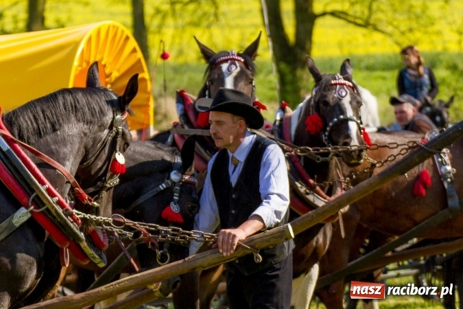 Zdjęcie w galerii na portalu naszraciborz.pl: Siodła, wozy i bryczki, czyli ostra rywalizacja na kornickiej maj&oacute;wce wiadomości z regionu