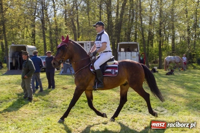 Zdjęcie w galerii na portalu naszraciborz.pl: Siodła, wozy i bryczki, czyli ostra rywalizacja na kornickiej maj&oacute;wce wiadomości z regionu