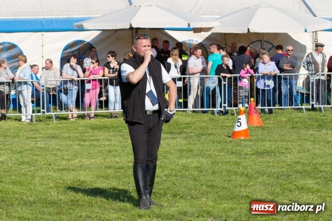 Zdjęcie w galerii na portalu naszraciborz.pl: Siodła, wozy i bryczki, czyli ostra rywalizacja na kornickiej maj&oacute;wce wiadomości z regionu