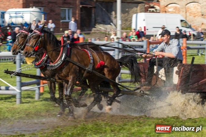 Zdjęcie w galerii na portalu naszraciborz.pl: Siodła, wozy i bryczki, czyli ostra rywalizacja na kornickiej maj&oacute;wce wiadomości z regionu