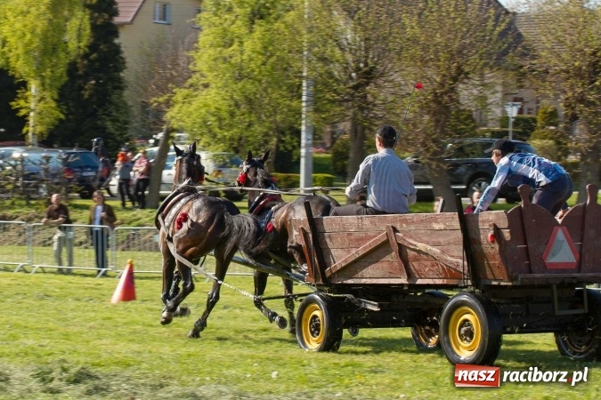 Zdjęcie w galerii na portalu naszraciborz.pl: Siodła, wozy i bryczki, czyli ostra rywalizacja na kornickiej maj&oacute;wce wiadomości z regionu