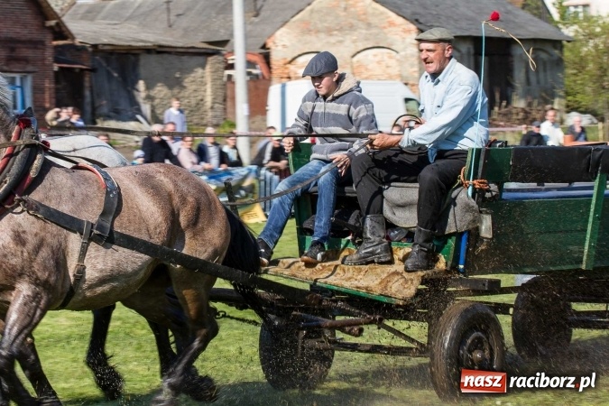 Zdjęcie w galerii na portalu naszraciborz.pl: Siodła, wozy i bryczki, czyli ostra rywalizacja na kornickiej maj&oacute;wce wiadomości z regionu