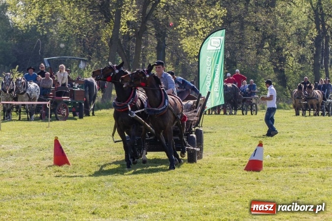 Zdjęcie w galerii na portalu naszraciborz.pl: Siodła, wozy i bryczki, czyli ostra rywalizacja na kornickiej maj&oacute;wce wiadomości z regionu