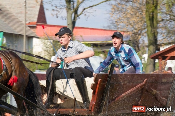 Zdjęcie w galerii na portalu naszraciborz.pl: Siodła, wozy i bryczki, czyli ostra rywalizacja na kornickiej maj&oacute;wce wiadomości z regionu