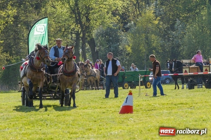 Zdjęcie w galerii na portalu naszraciborz.pl: Siodła, wozy i bryczki, czyli ostra rywalizacja na kornickiej maj&oacute;wce wiadomości z regionu