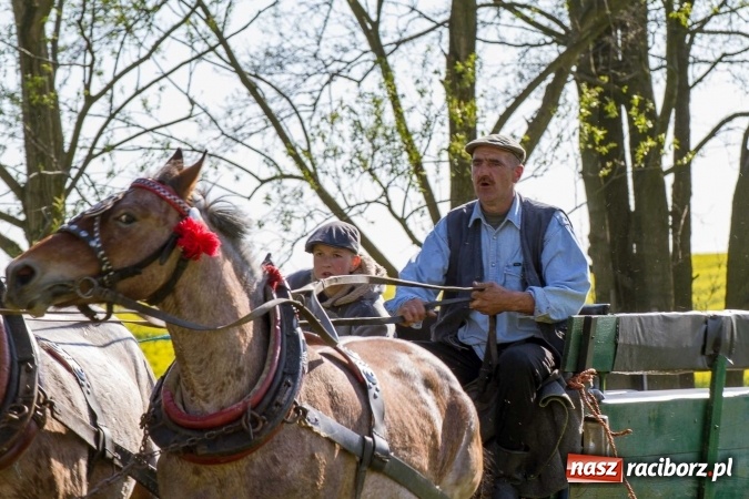 Zdjęcie w galerii na portalu naszraciborz.pl: Siodła, wozy i bryczki, czyli ostra rywalizacja na kornickiej maj&oacute;wce wiadomości z regionu
