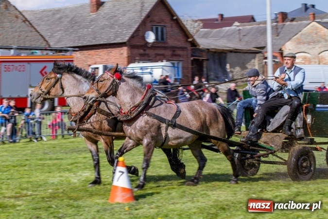 Zdjęcie w galerii na portalu naszraciborz.pl: Siodła, wozy i bryczki, czyli ostra rywalizacja na kornickiej maj&oacute;wce wiadomości z regionu