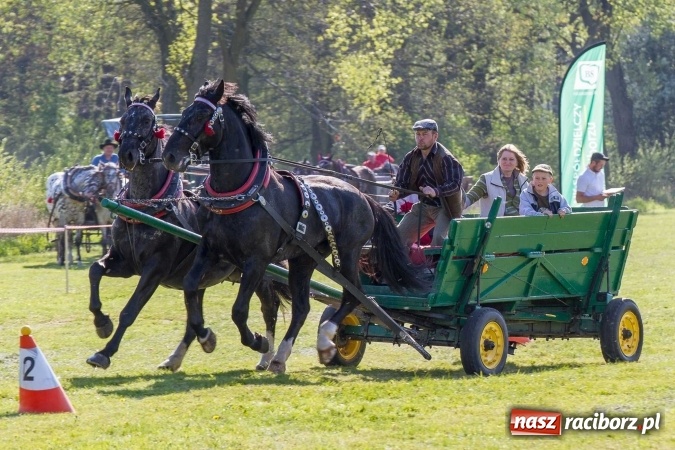 Zdjęcie w galerii na portalu naszraciborz.pl: Siodła, wozy i bryczki, czyli ostra rywalizacja na kornickiej maj&oacute;wce wiadomości z regionu