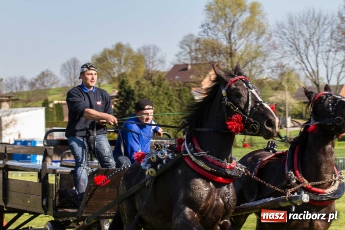 Zdjęcie w galerii na portalu naszraciborz.pl: Siodła, wozy i bryczki, czyli ostra rywalizacja na kornickiej maj&oacute;wce wiadomości z regionu