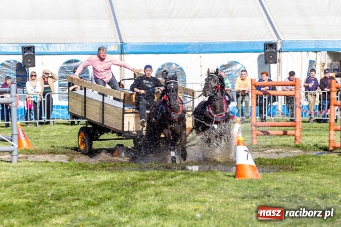 Zdjęcie w galerii na portalu naszraciborz.pl: Siodła, wozy i bryczki, czyli ostra rywalizacja na kornickiej maj&oacute;wce wiadomości z regionu