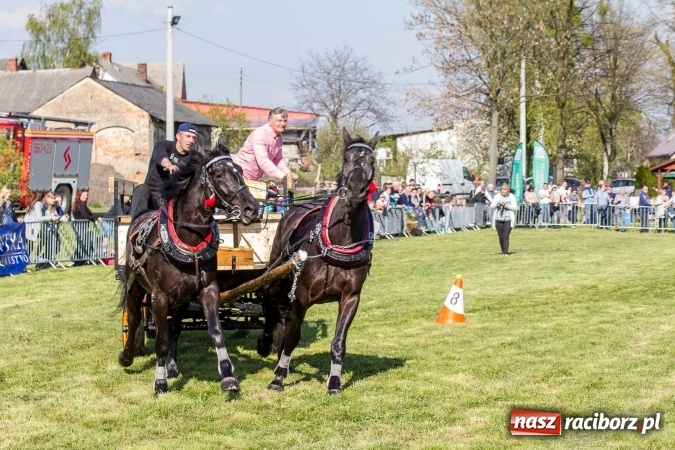 Zdjęcie w galerii na portalu naszraciborz.pl: Siodła, wozy i bryczki, czyli ostra rywalizacja na kornickiej maj&oacute;wce wiadomości z regionu