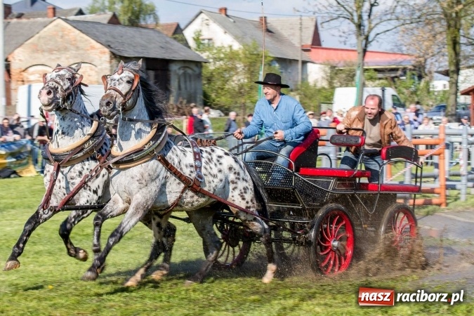 Zdjęcie w galerii na portalu naszraciborz.pl: Siodła, wozy i bryczki, czyli ostra rywalizacja na kornickiej maj&oacute;wce wiadomości z regionu