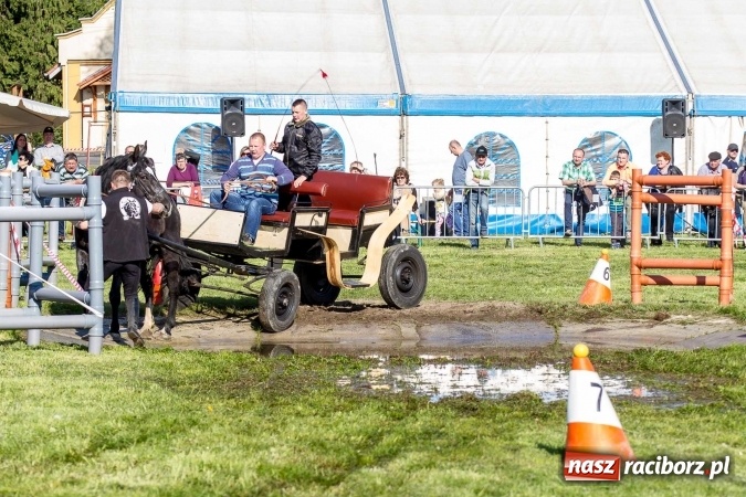 Zdjęcie w galerii na portalu naszraciborz.pl: Siodła, wozy i bryczki, czyli ostra rywalizacja na kornickiej maj&oacute;wce wiadomości z regionu