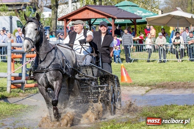 Zdjęcie w galerii na portalu naszraciborz.pl: Siodła, wozy i bryczki, czyli ostra rywalizacja na kornickiej maj&oacute;wce wiadomości z regionu