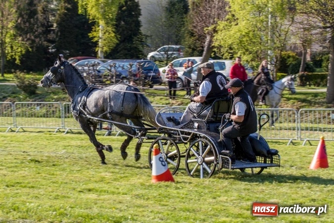 Zdjęcie w galerii na portalu naszraciborz.pl: Siodła, wozy i bryczki, czyli ostra rywalizacja na kornickiej maj&oacute;wce wiadomości z regionu