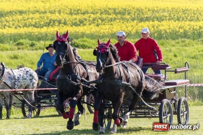 Zdjęcie w galerii na portalu naszraciborz.pl: Siodła, wozy i bryczki, czyli ostra rywalizacja na kornickiej maj&oacute;wce wiadomości z regionu